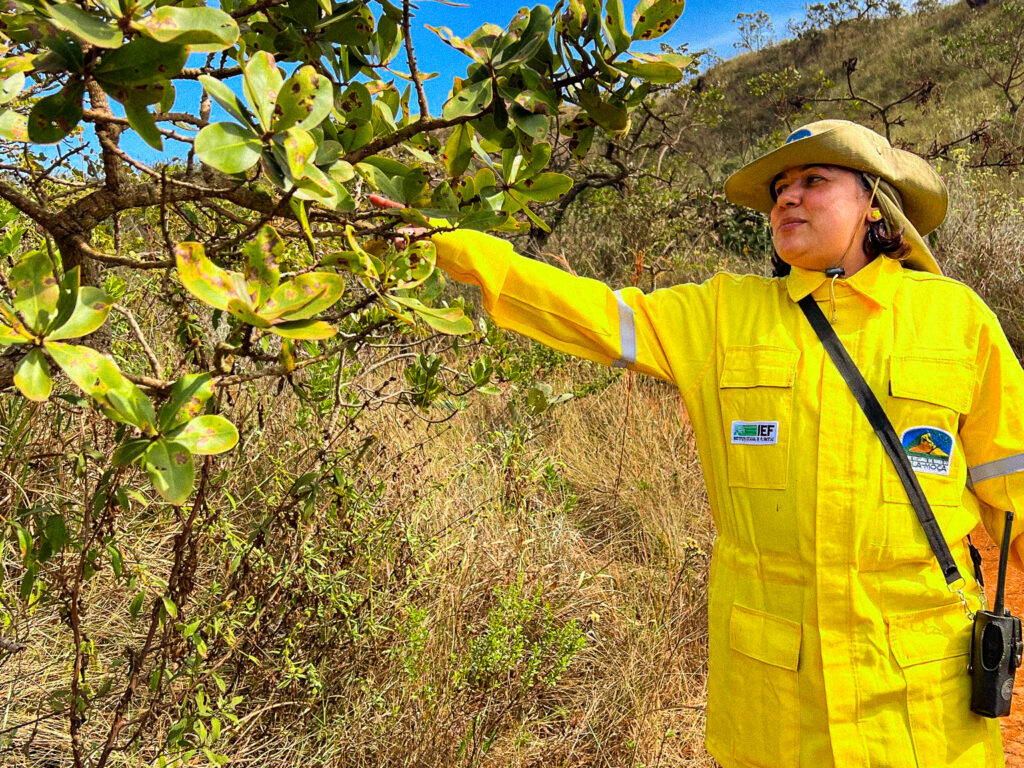 PEA – Environmental Education Program (5)