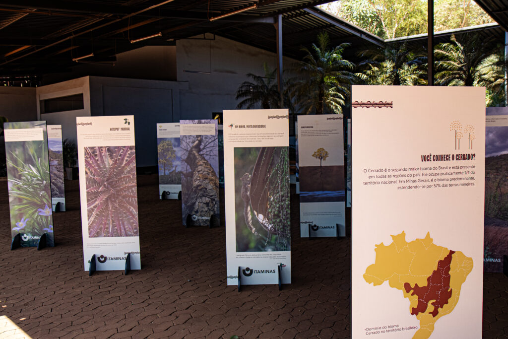 Ser do Cerrado – Tree Day 2023 (7)