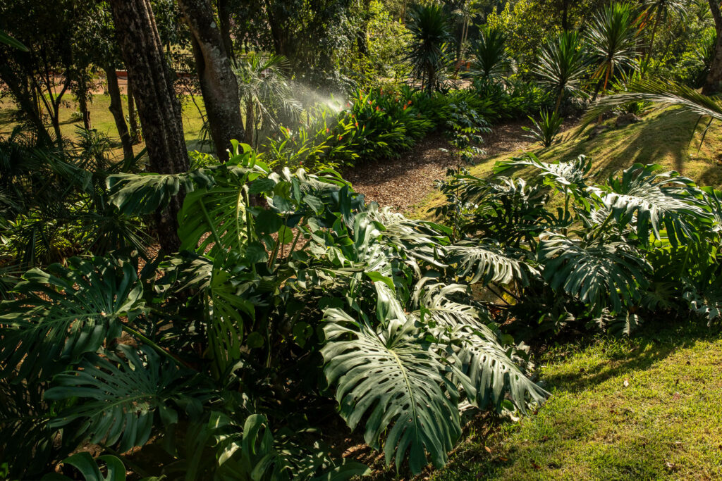 Sarzedo Waterfall Municipal Nature Park – Inauguration (5)